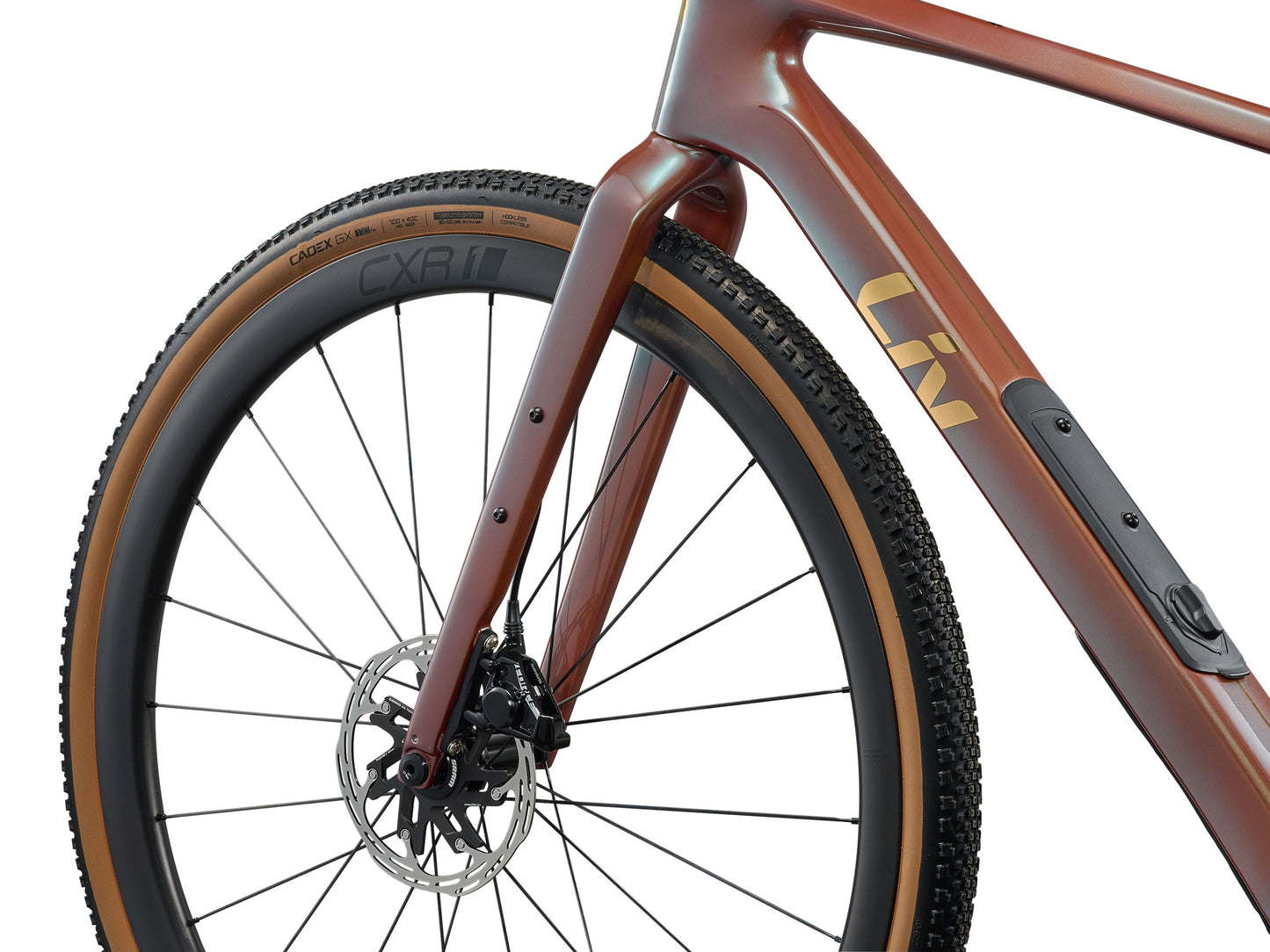 Liv Devote Advanced Pro 2026
