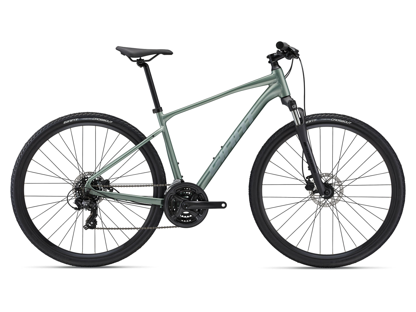 Giant Rome Disc 4 2023