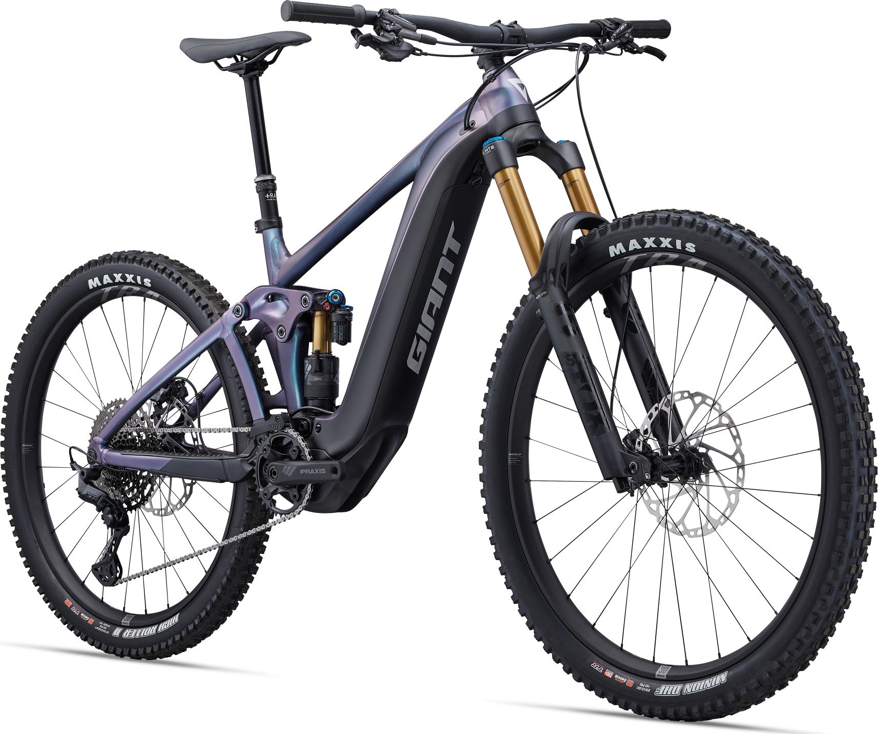 Giant Reign E 2024 – Bicycle Workshop - Main Image